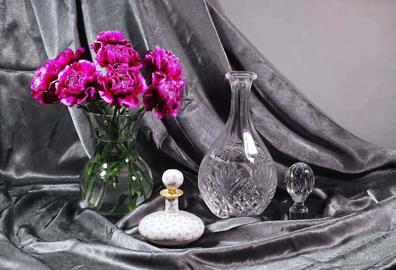 Purple Carnations in Vase