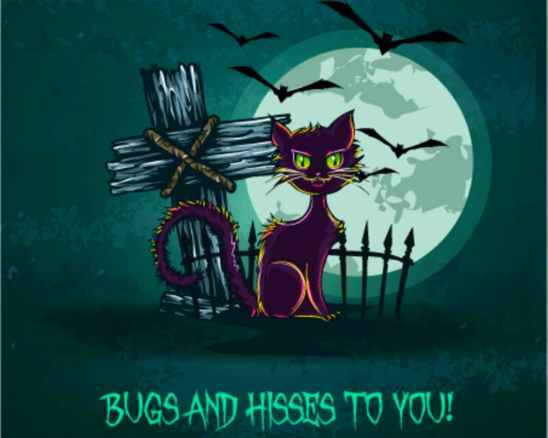 Purple Cat in Graveyard