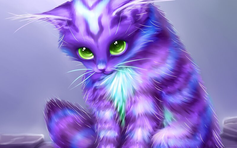 Purple Cat with Green Eyes — Calm