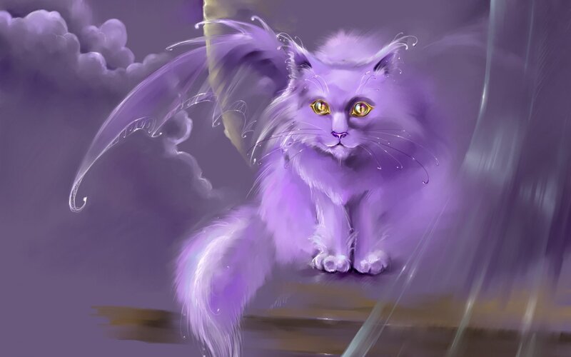 Purple Cat with Wings — Mystical, Night