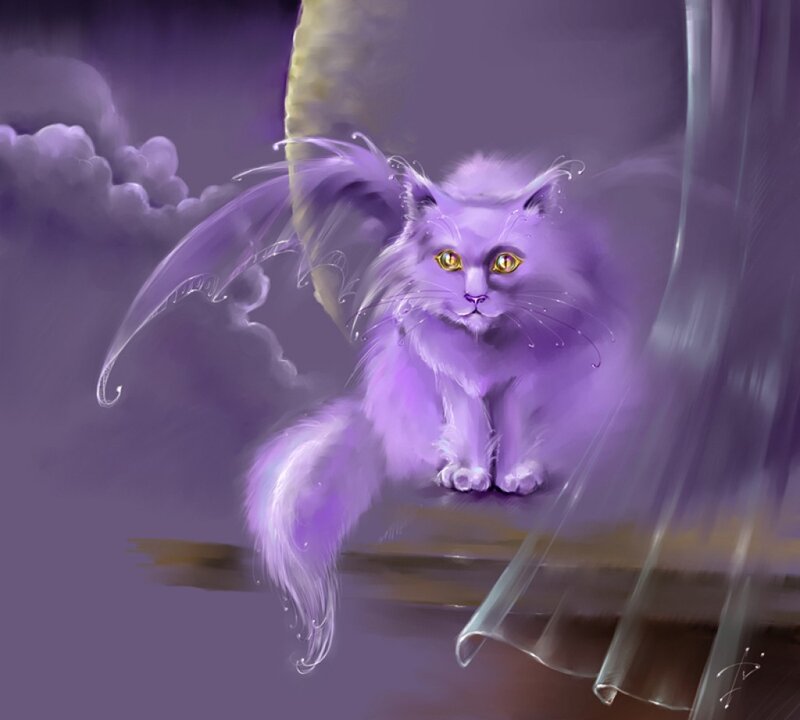 Purple Cat with Wings — Mystical