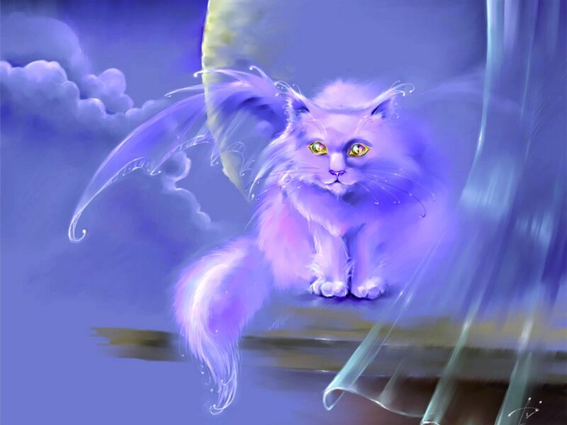 Purple Cat with Wings — Serene