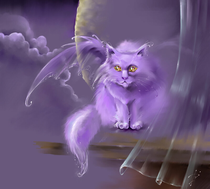 purple cat with wings