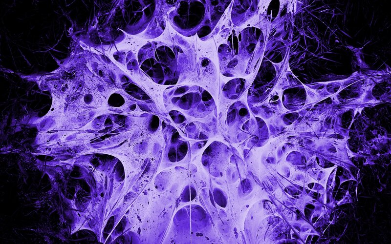 Purple Cellular Network — Dramatic, Abstract