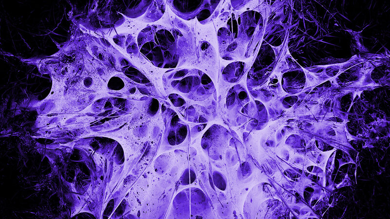 Purple Cellular Network — Dramatic