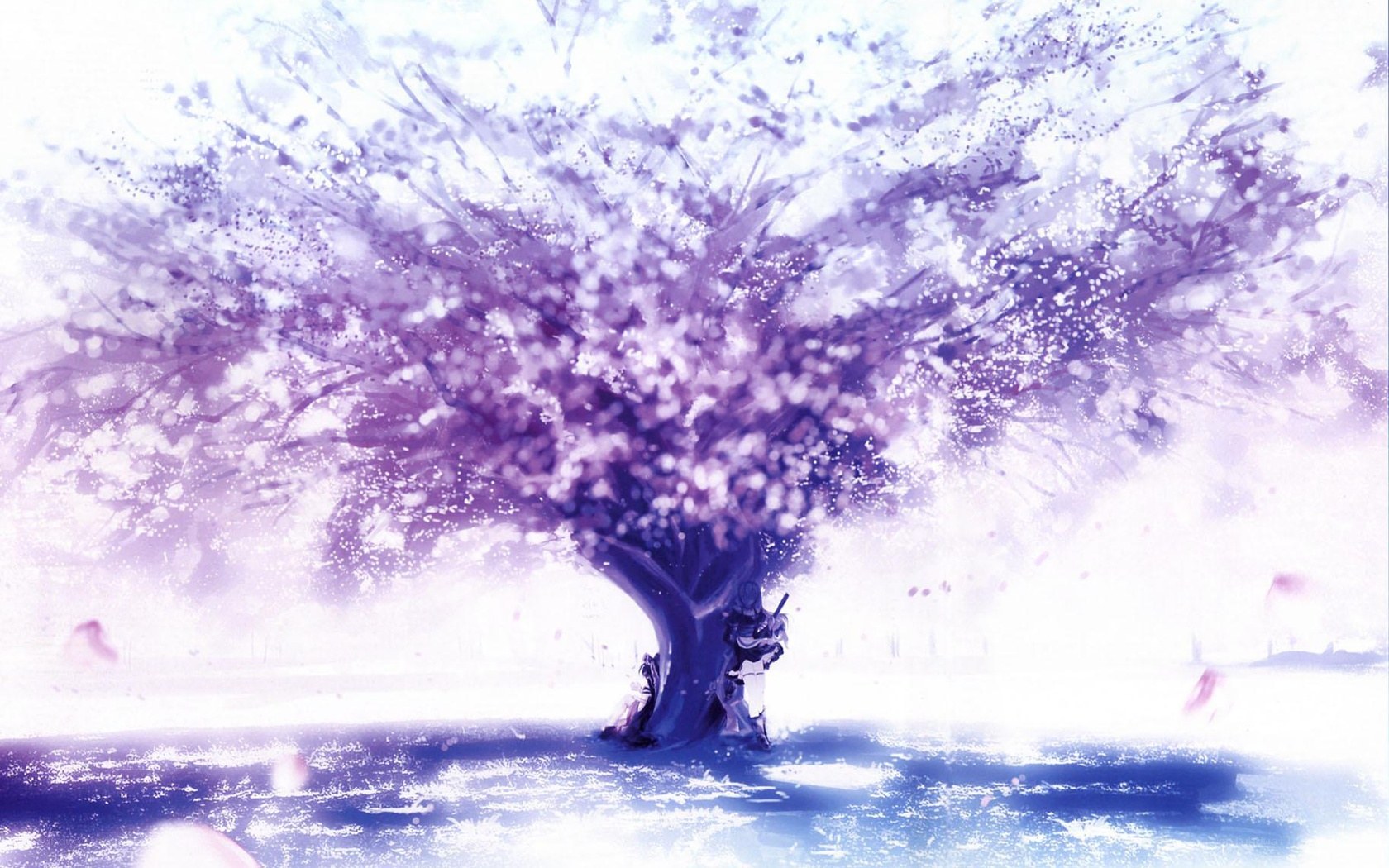 purple cherry blossom tree