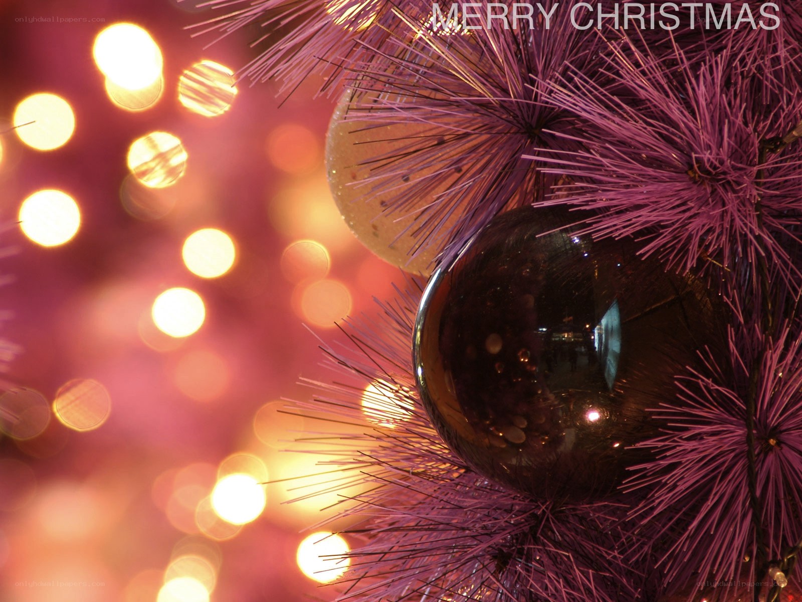 Purple Christmas tree close-up