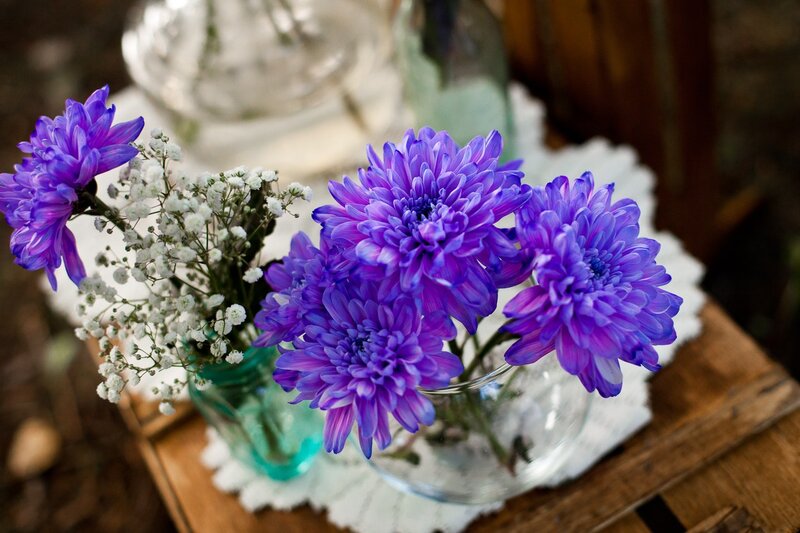 Purple Chrysanthemums — Calm, Photograph, Flowers