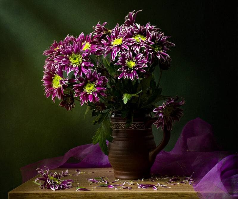 Purple Chrysanthemums in Vase — Dramatic