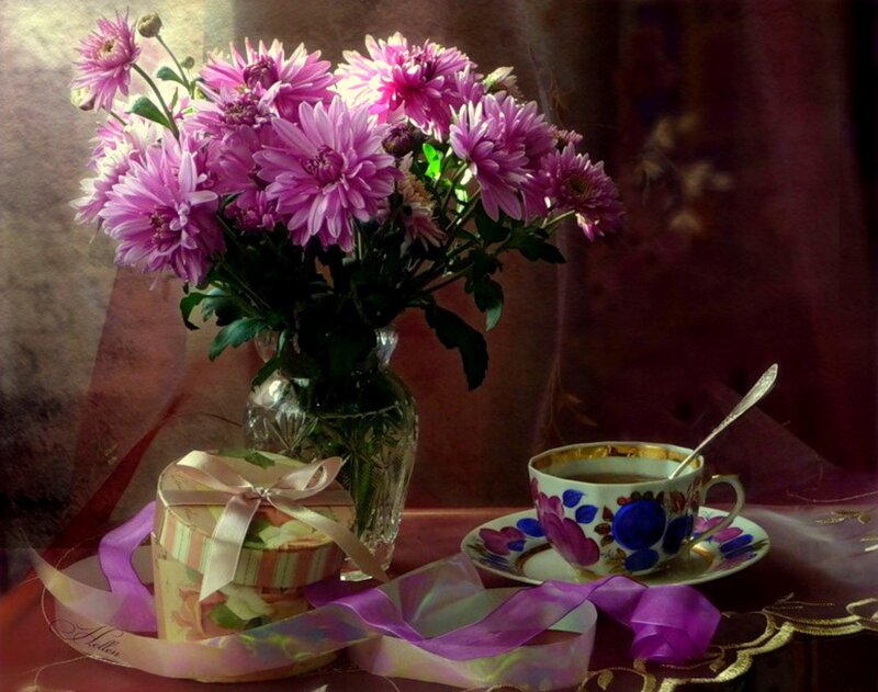 Purple Chrysanthemums in Vase — Serene