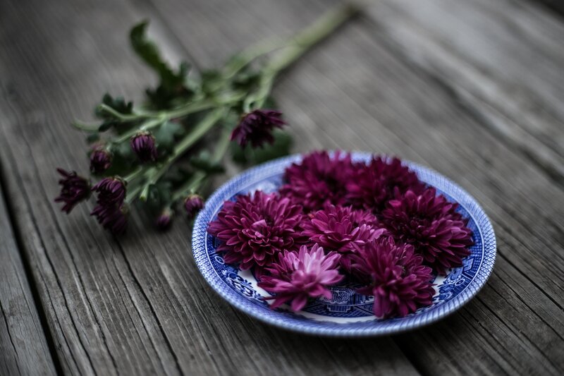 Purple Chrysanthemums on Plate