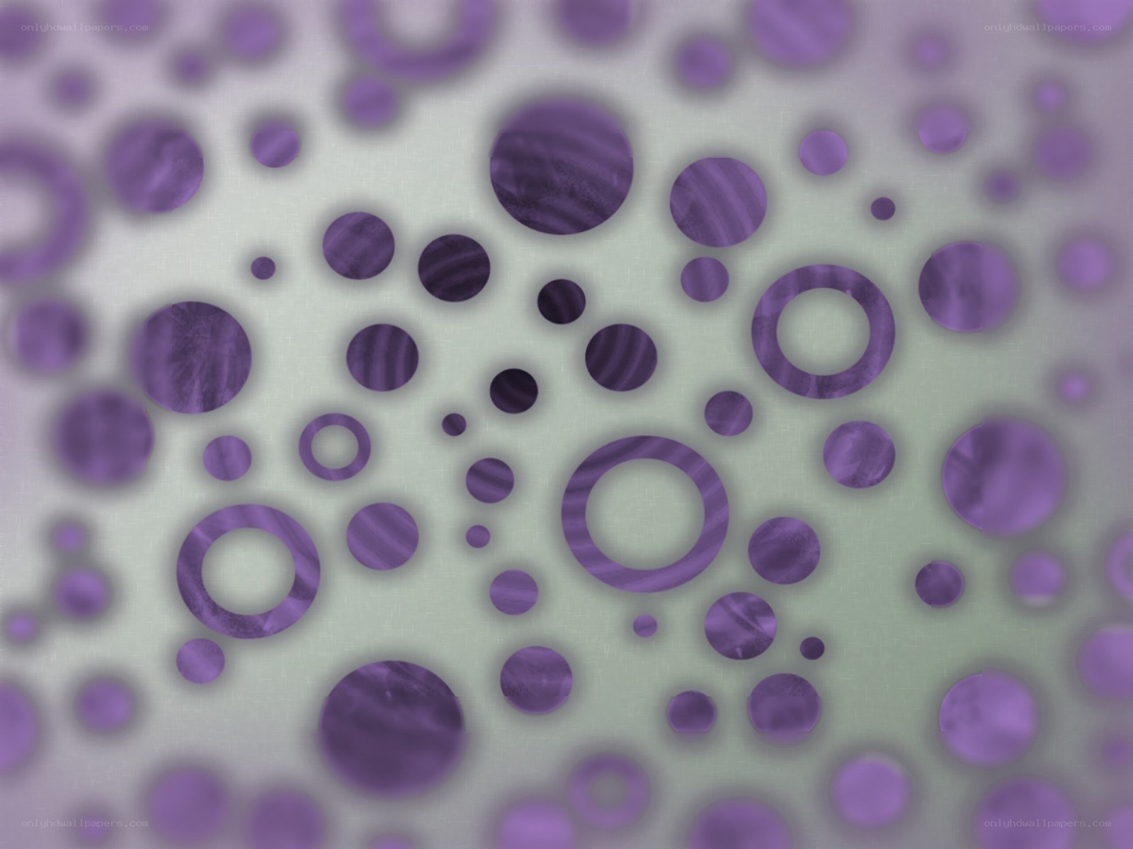 purple circles on green background