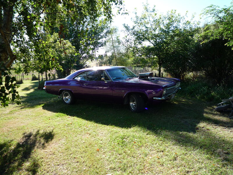 Purple Classic Car — Serene, Afternoon