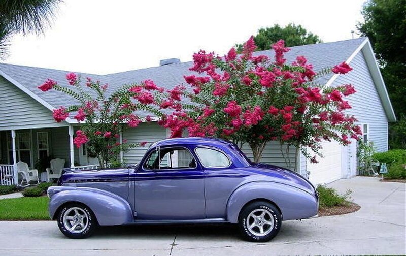 Purple Classic Car — Serene