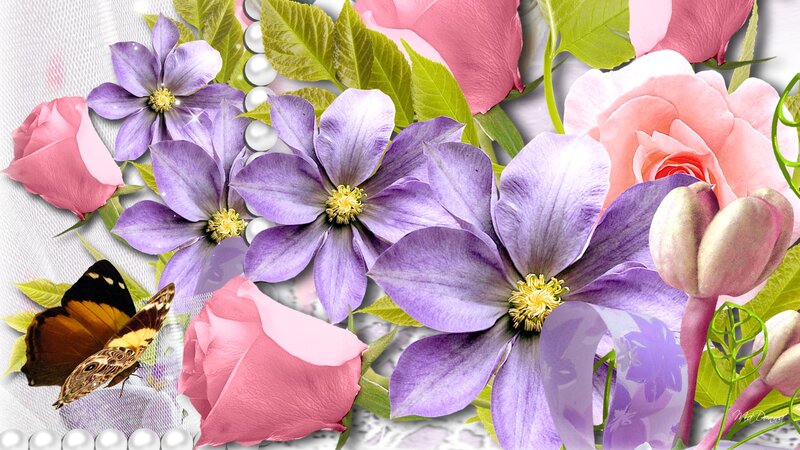 Purple Clematis and Roses