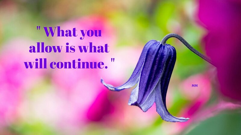 Purple Clematis Flower — Serene, Photograph, Stem, Blurred Background