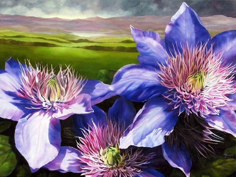 Purple Clematis Flowers — Blue, Dramatic