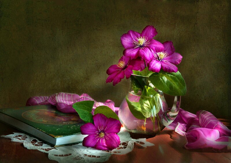 Purple Clematis Flowers — Serene, Photograph, Book