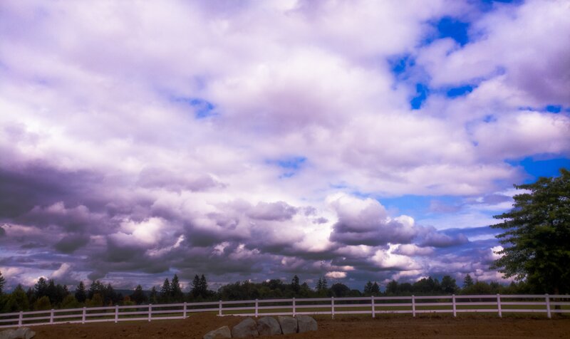 Purple Clouds over Field