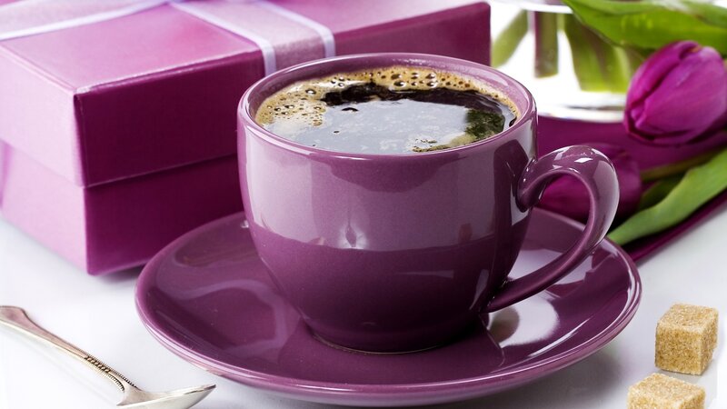 Purple Coffee Cup — Calm, Morning, Photograph