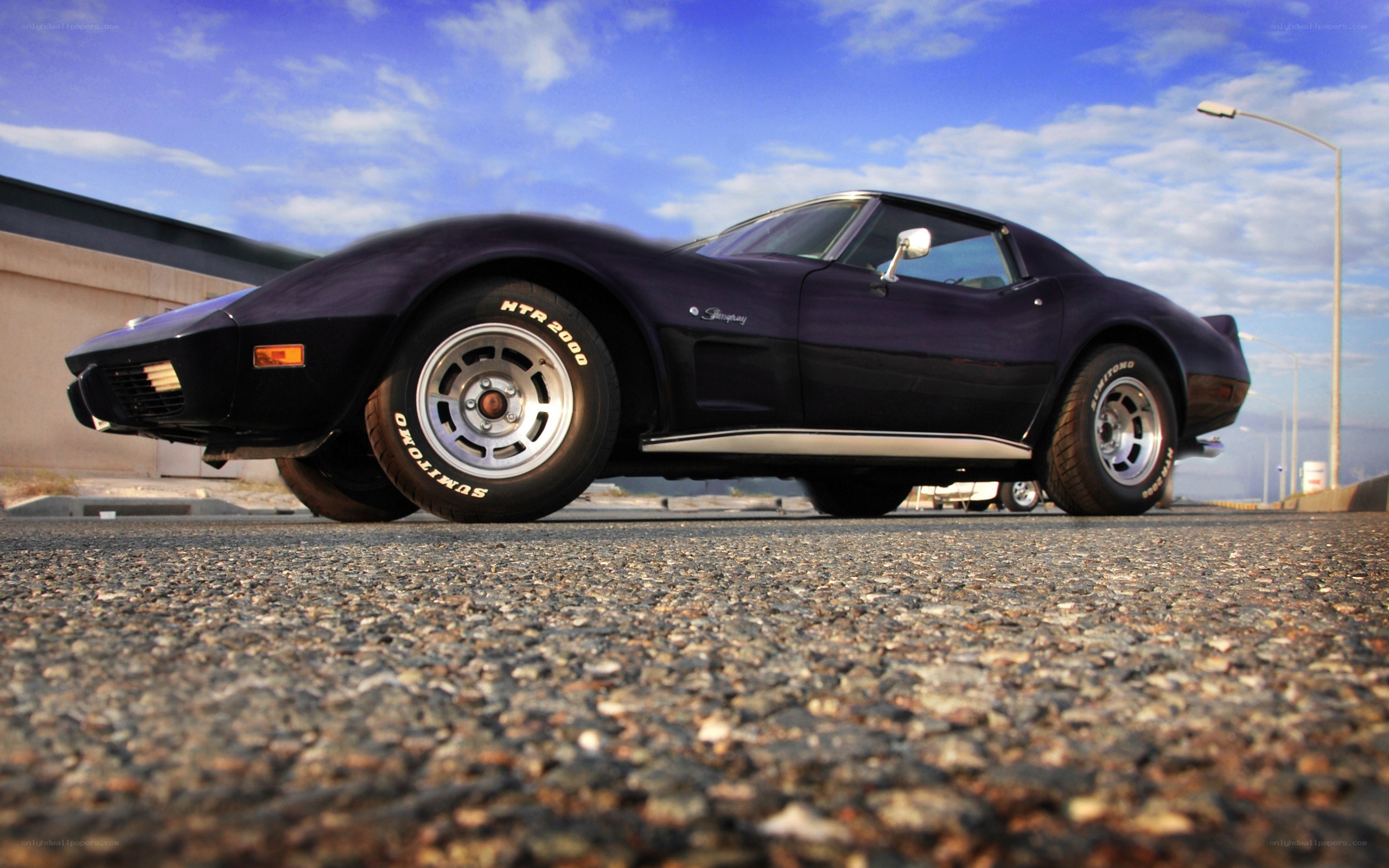 Purple Corvette on asphalt