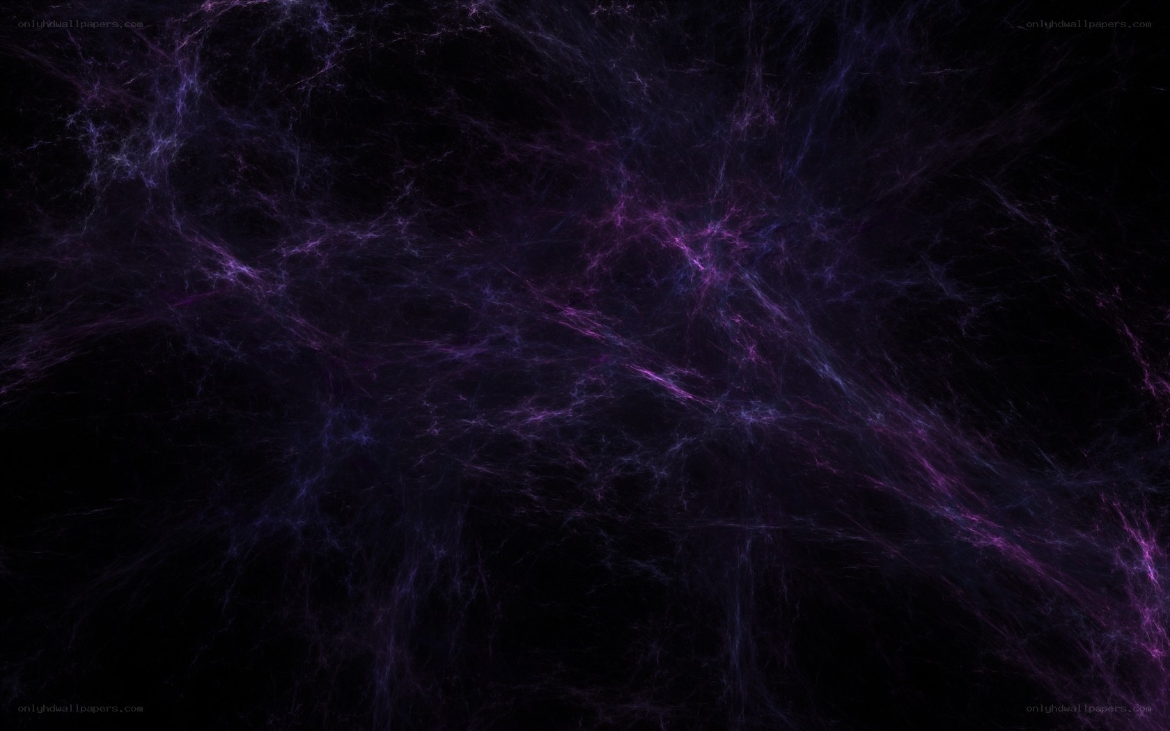 purple cosmic web