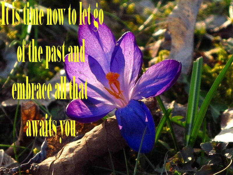 Purple Crocus Flower — Hopeful