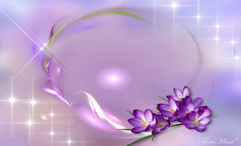 Purple Crocus Flowers — Dreamy