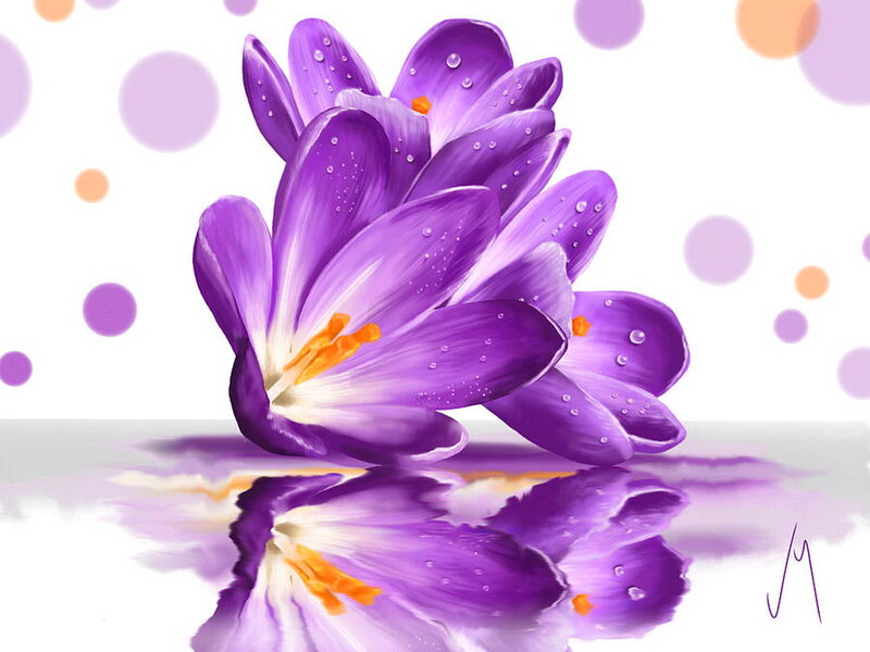 Purple Crocus Flowers — Serene, Digital Art