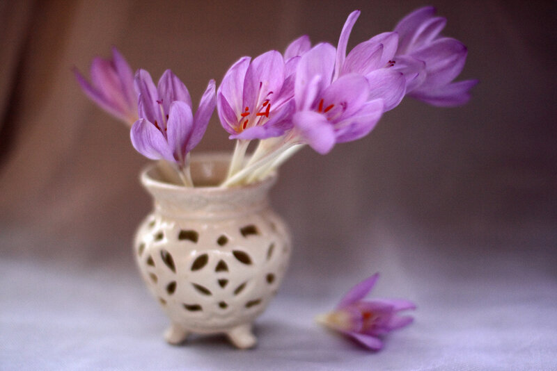 Purple Crocus Flowers — Serene, Photograph, Vase