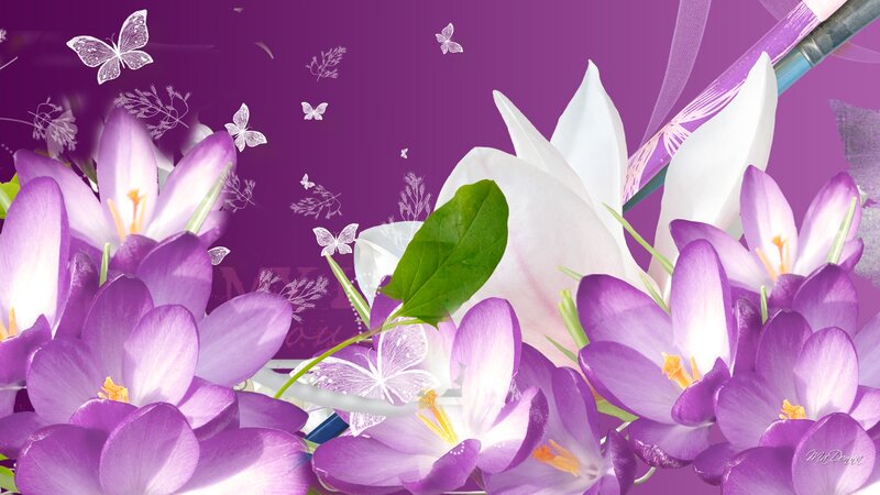 Purple Crocus Flowers — Serene, Spring, Digital Art, Butterflies
