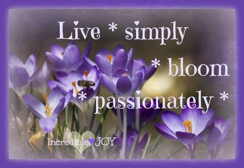 Purple Crocus Flowers — Serene, Spring, Photograph, Bee