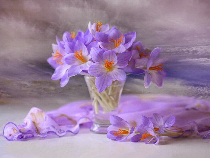 Purple Crocus Flowers — Serene, Spring, Photograph, Vase