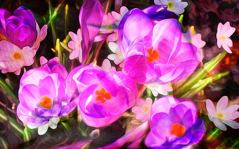 Purple Crocus Flowers — Vibrant, Spring, Digital Art, Buds