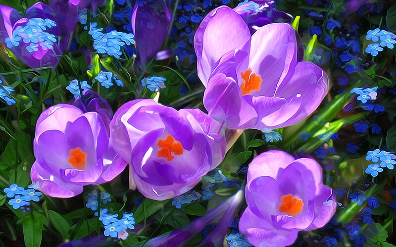 Purple Crocus Flowers — Vibrant, Spring, Digital Art