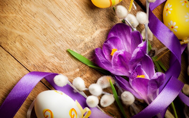 Purple Crocuses and Eggs — Festive