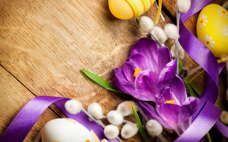 Purple Crocuses and Eggs