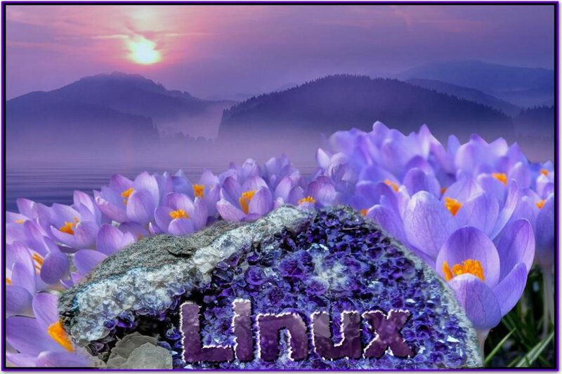 Purple Crocuses and Geode