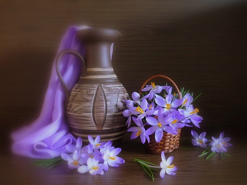 Purple crocuses in a basket