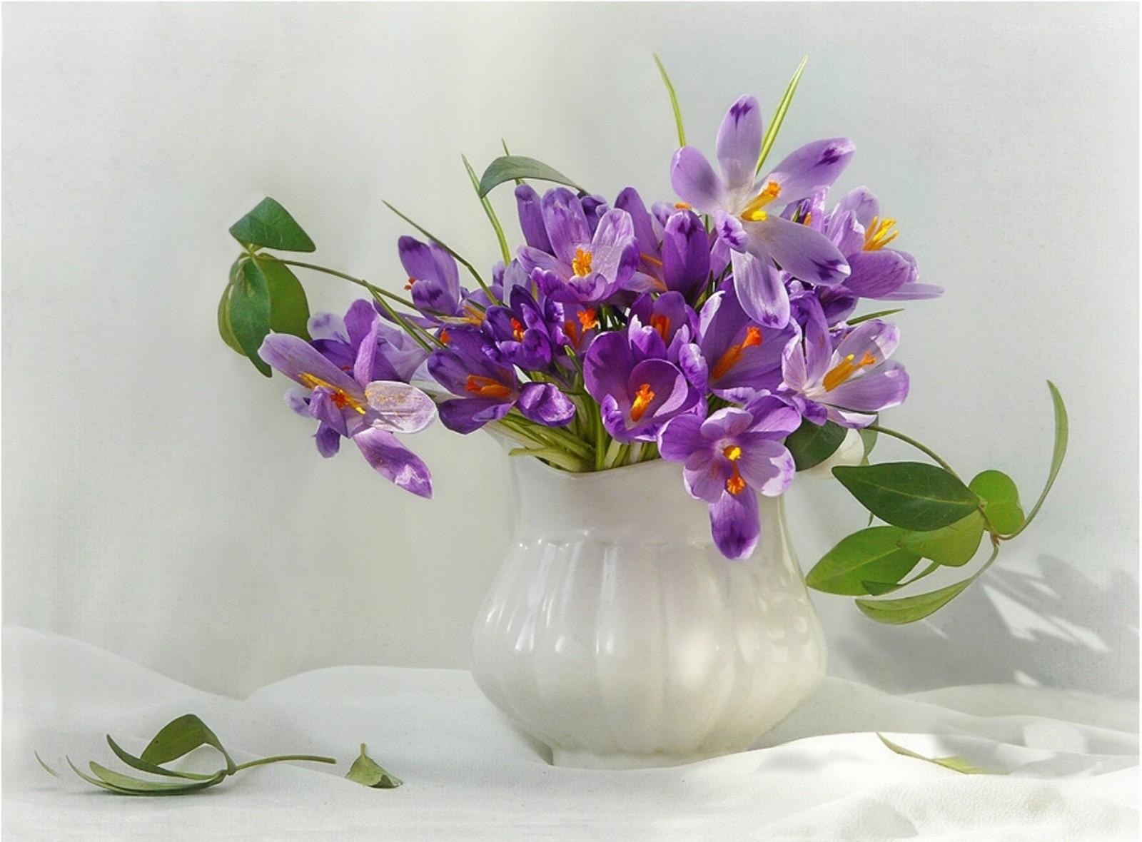 Purple crocuses in a white vase