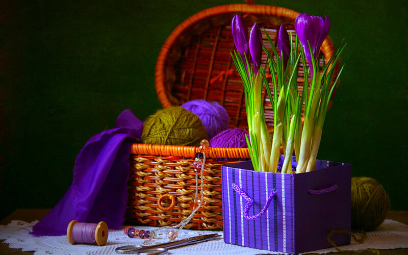 Purple Crocuses in Basket — Dramatic