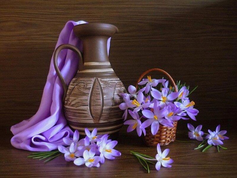 Purple Crocuses in Basket — Serene, Spring, Photograph