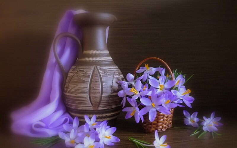 Purple Crocuses in Basket — Serene, Spring