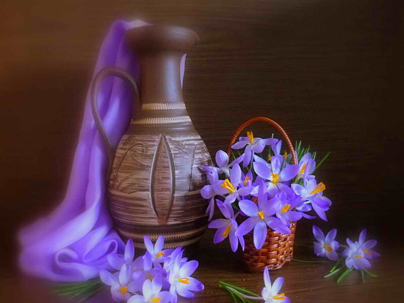 Purple Crocuses in Basket — Serene