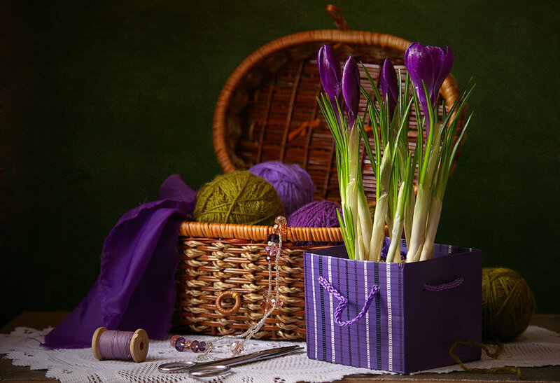 Purple Crocuses in Basket