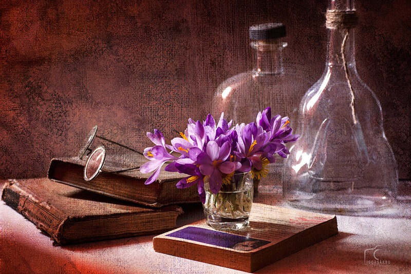 Purple Crocuses in Vase — Dramatic, Photograph, Books