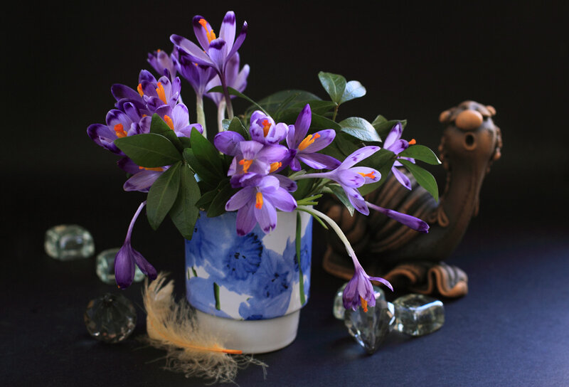 Purple Crocuses in Vase — Dramatic, Photograph