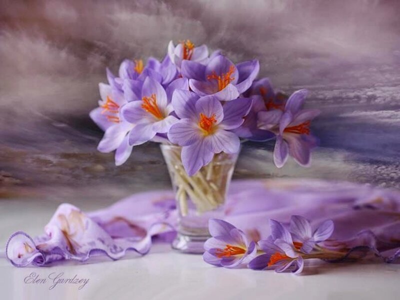 Purple Crocuses in Vase — Serene, Photograph