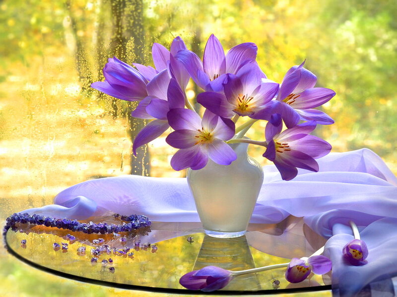 Purple Crocuses in Vase — Serene, Spring, Photograph, Cloth, Table