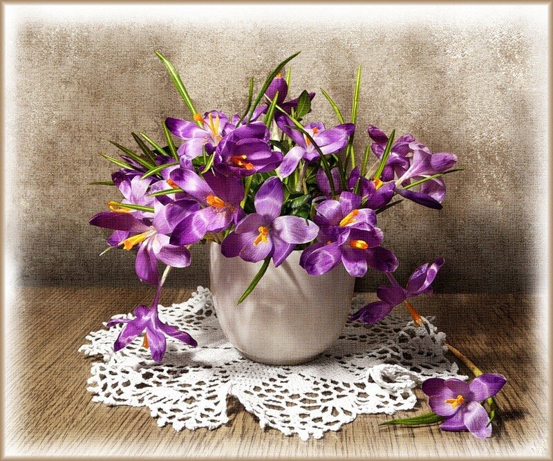 Purple Crocuses in Vase — Serene, Spring, Photograph, Doily